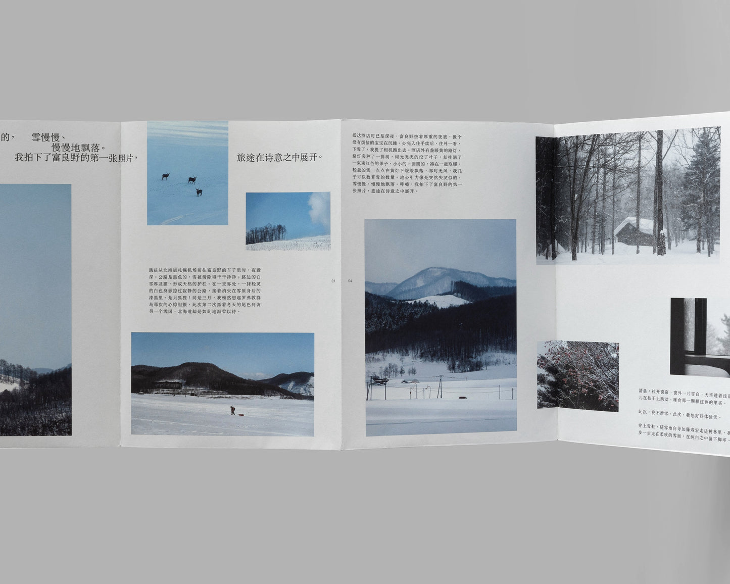 谁在缝隙里种光 Komorebi – Stories of Light