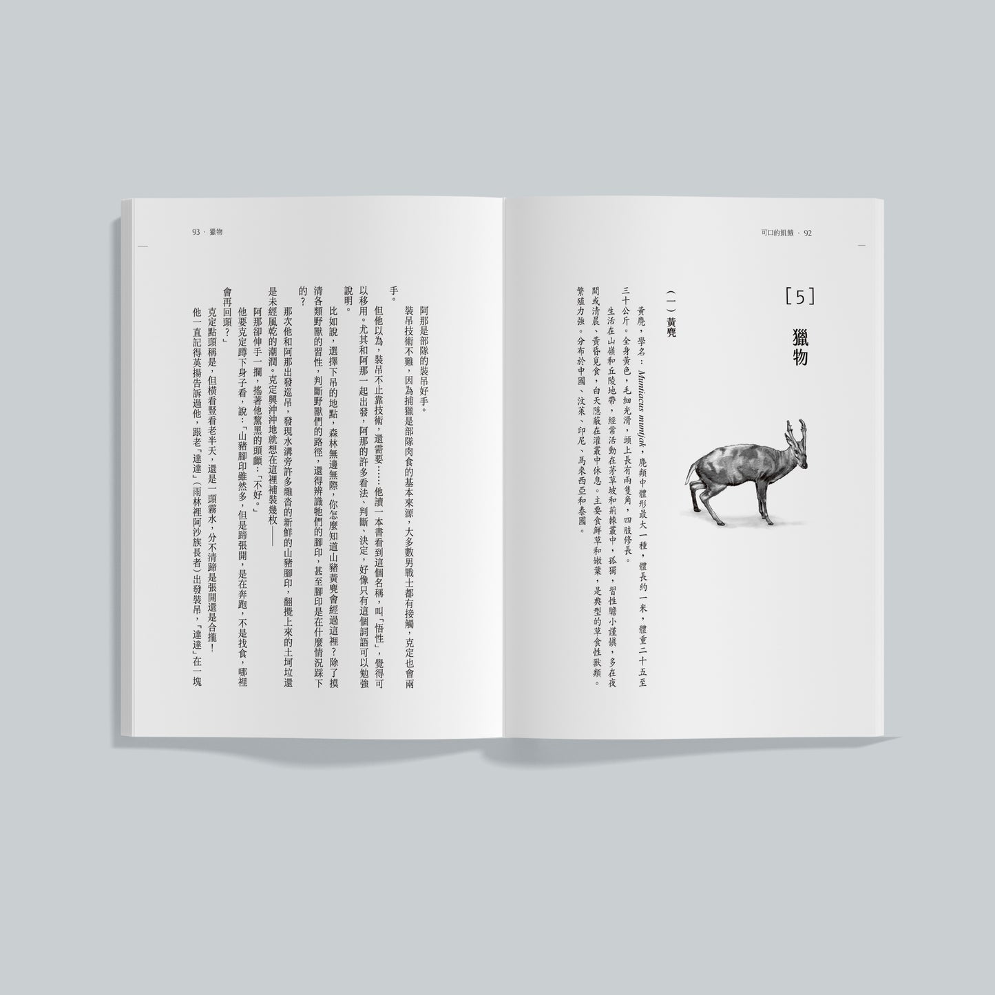 可口的饥饿（预购）