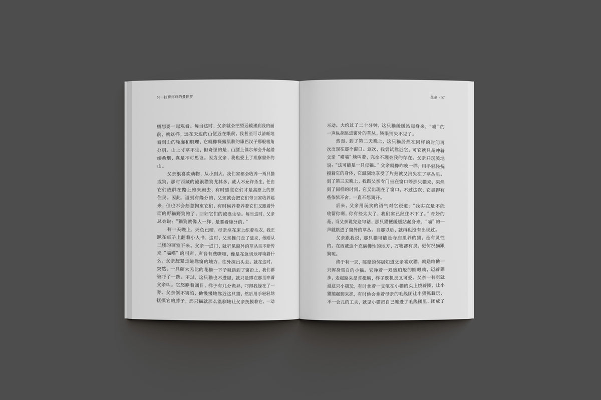 拉萨河畔的曼陀罗
