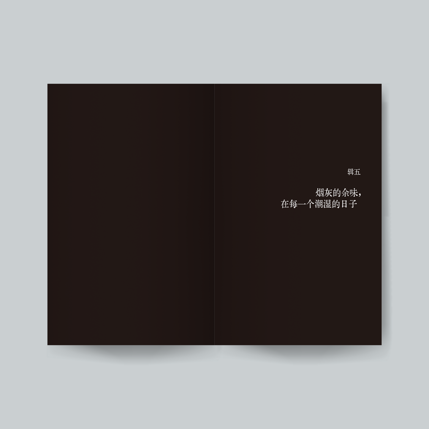 盐渍焰火【预购，ETD 27.12.2025】