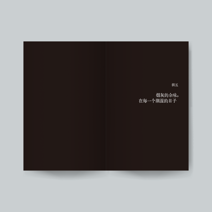 盐渍焰火【预购，ETD 27.12.2025】