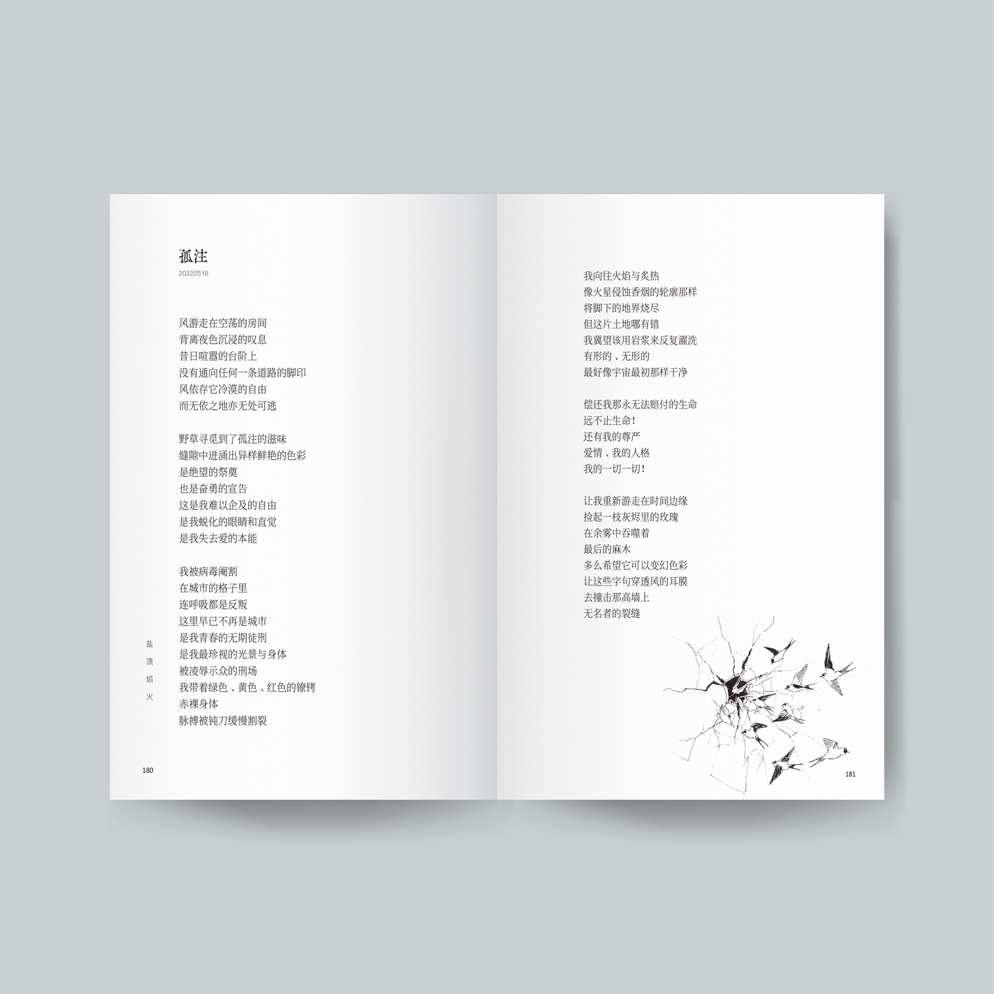 盐渍焰火【预购，ETD 27.12.2025】