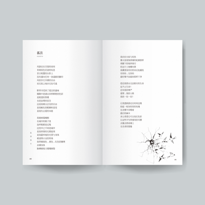 盐渍焰火【预购，ETD 27.12.2025】