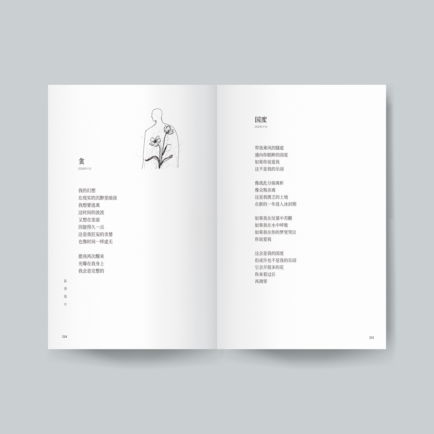 盐渍焰火【预购，ETD 27.12.2025】