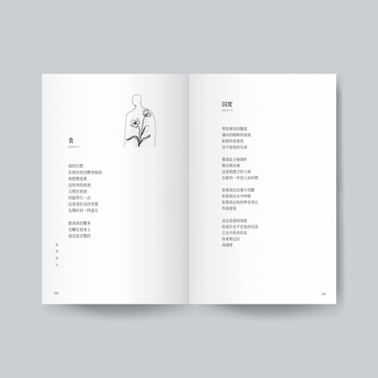 盐渍焰火【预购，ETD 27.12.2025】