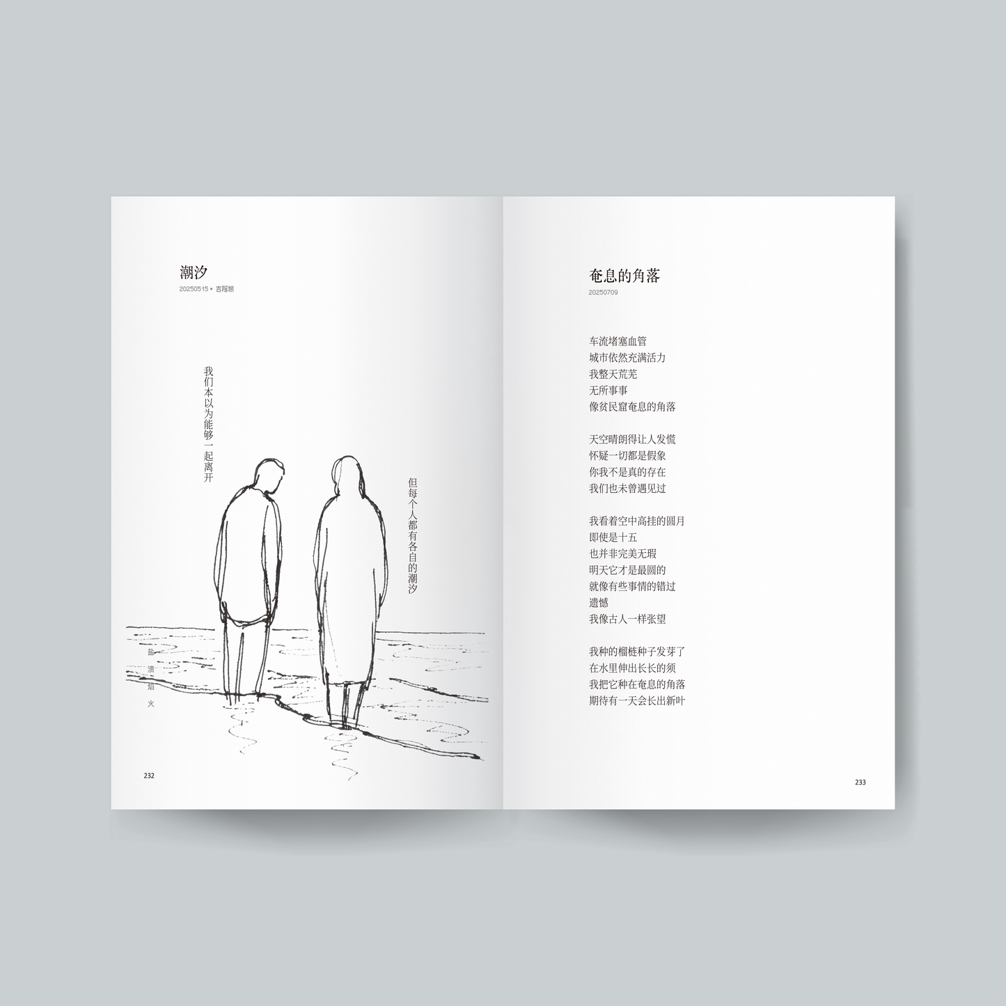 盐渍焰火【预购，ETD 27.12.2025】